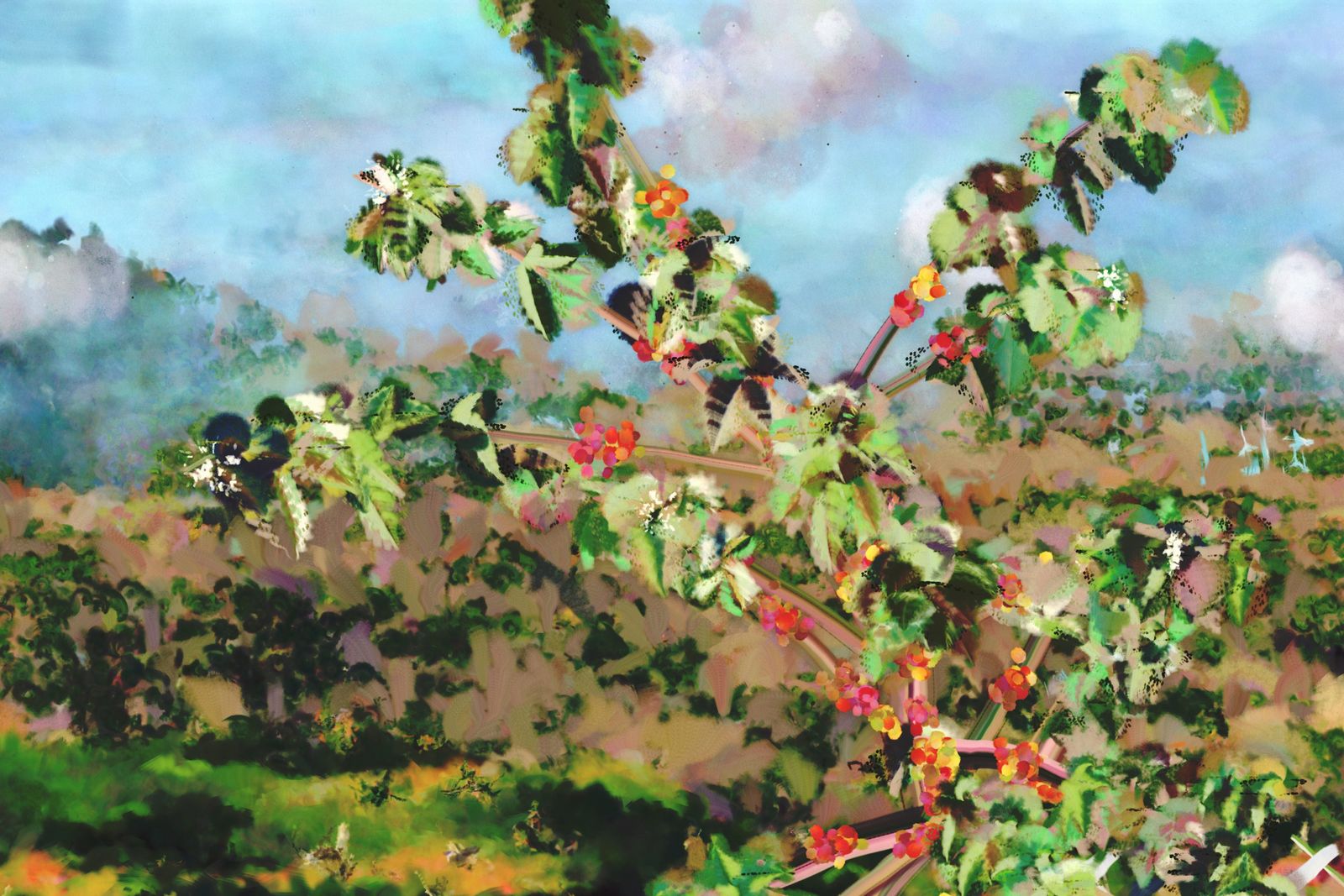 The Coffee Dreamscape