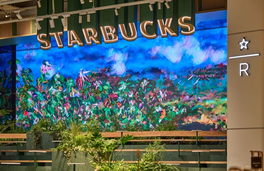 The Coffee Dreamscape, installation view
