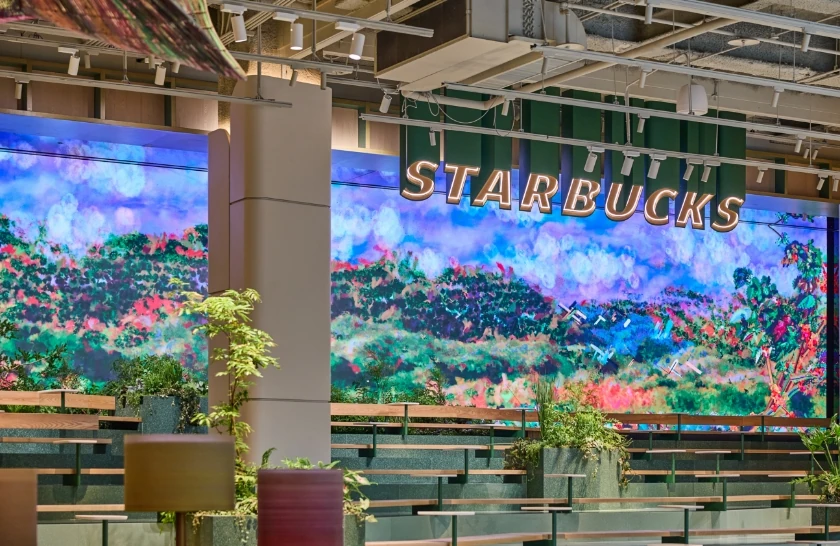 The Coffee Dreamscape, installation view