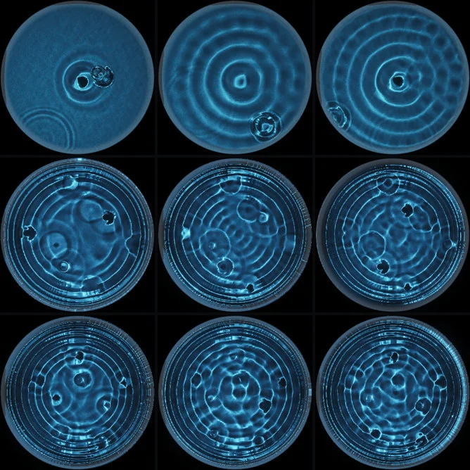 The standing wave at 4, 10 and 20 seconds