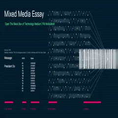 Mixed Media Essay