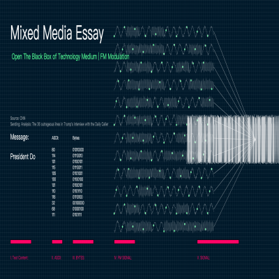 Mixed Media Essay