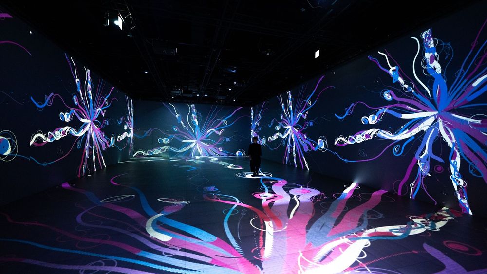 Chaos Lab — exhibition view 12
