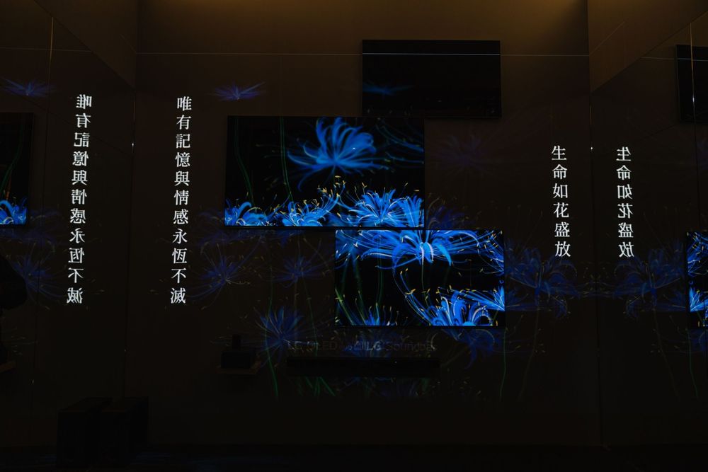 LG Eternal Floral Realm — exhibition view 6