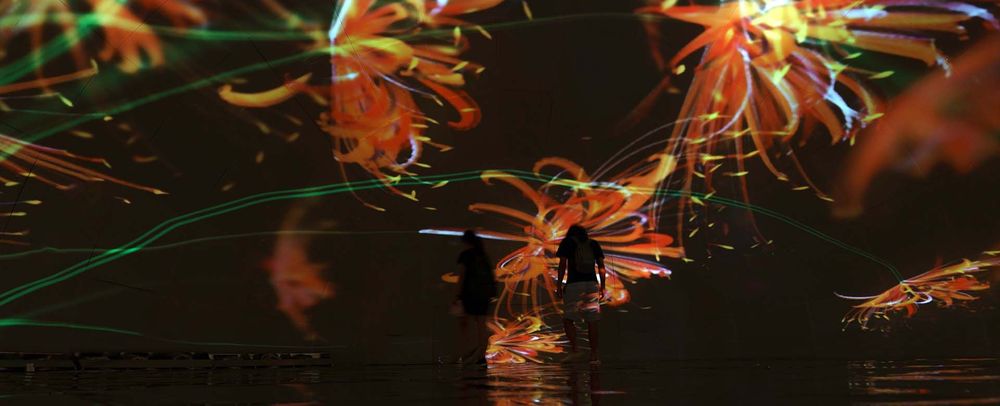dialog( ) Asian Generative Art — exhibition view 13
