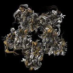 240112 Dragon