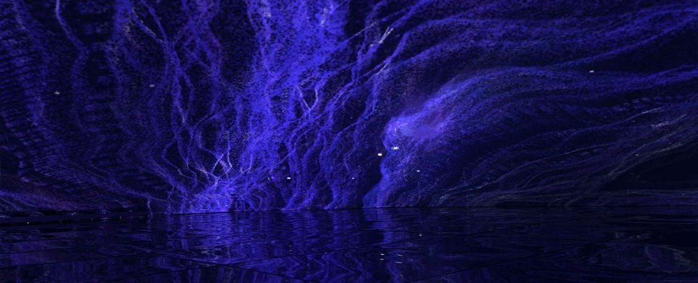 dialog( ) Asian Generative Art — exhibition view 12