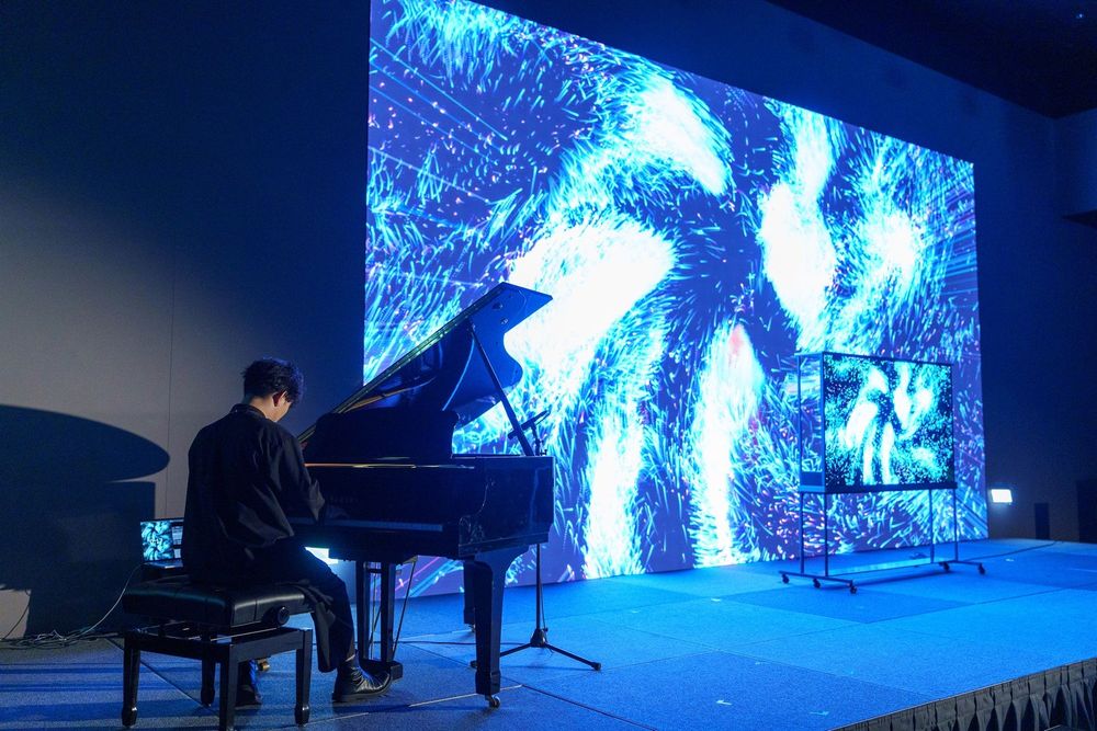 LG Physis — exhibition view 9
