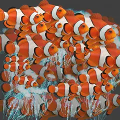 demo use img