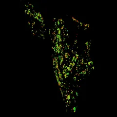 NewYork Tree Dataset
