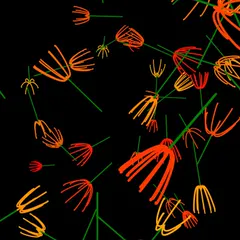240606 3D Line Flower