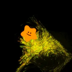 240425 Jiggle Star