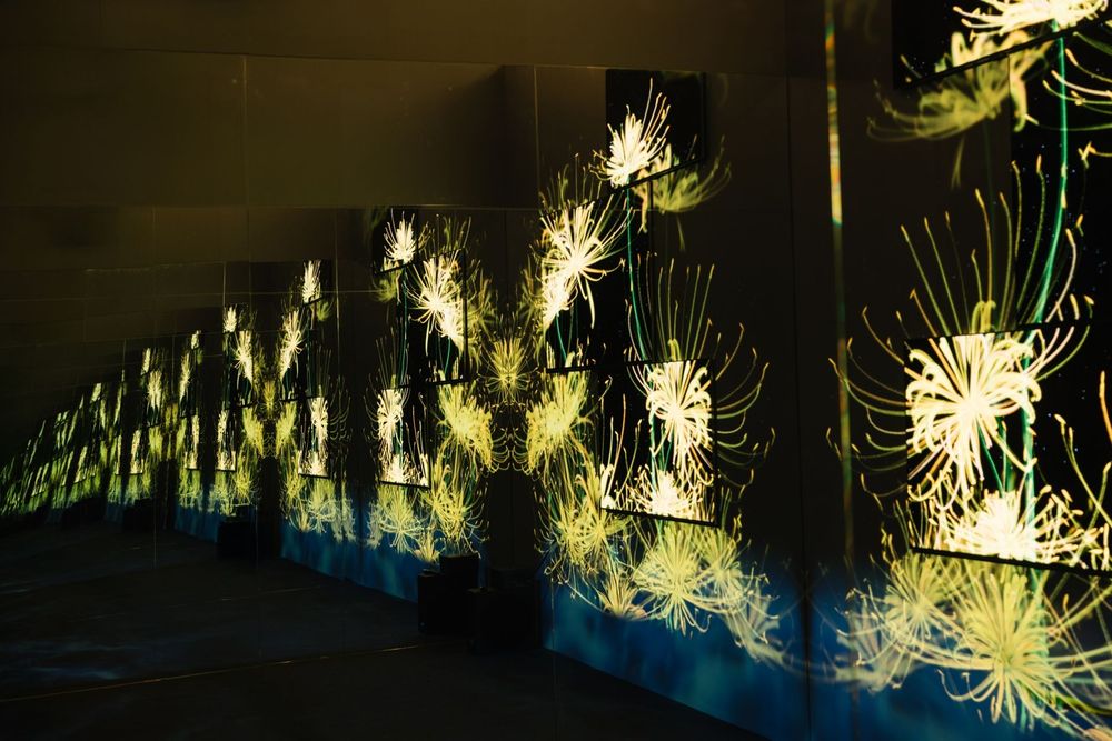 LG Eternal Floral Realm — exhibition view 11