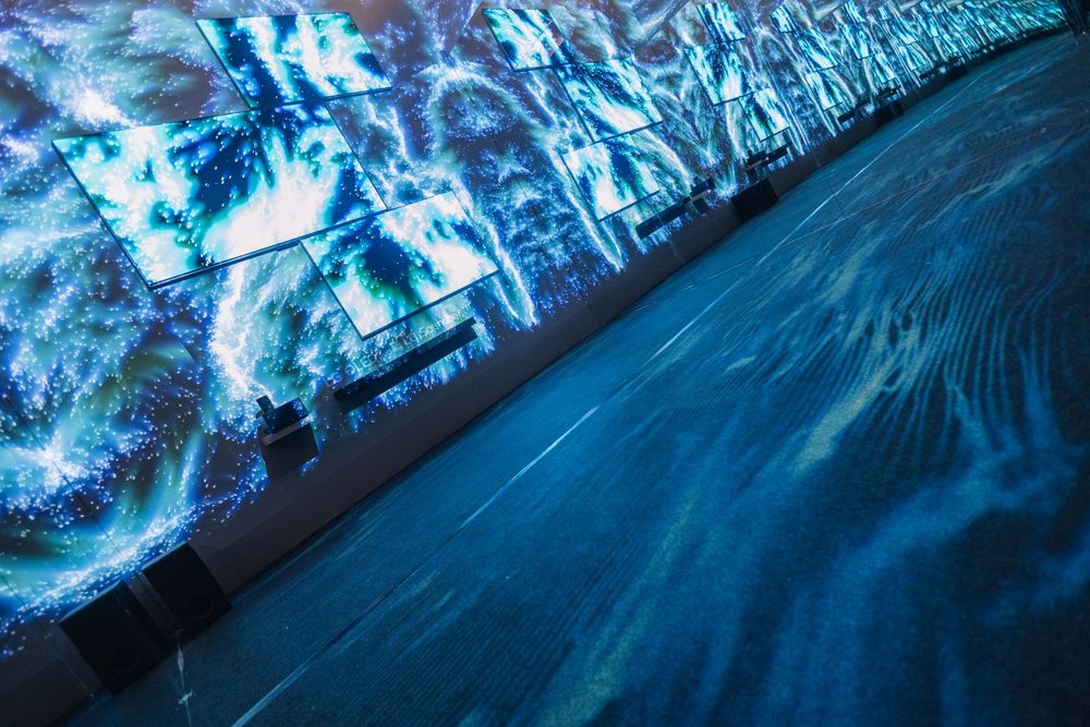 LG Eternal Floral Realm — exhibition view 13