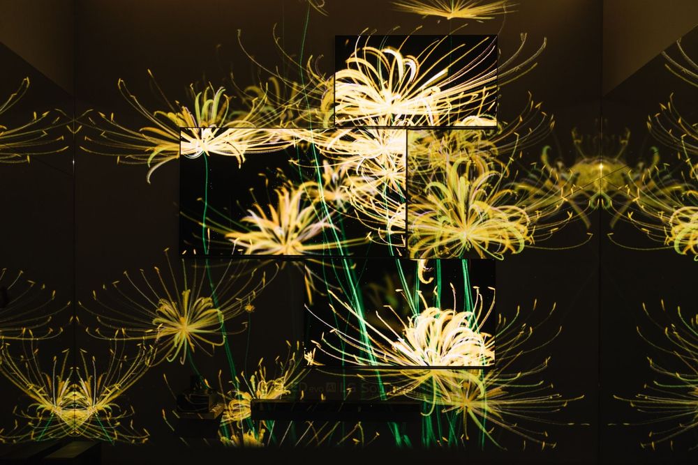LG Eternal Floral Realm — exhibition view 4