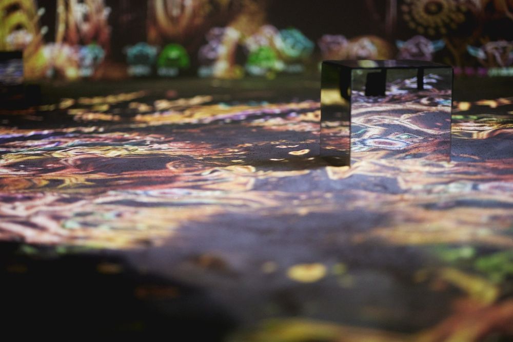 The Eternal Garden in a Bottle — exhibition view 4