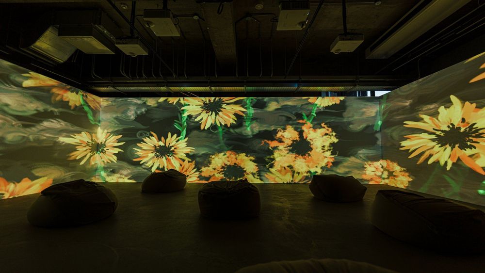未竟之花 — 展場紀錄 13