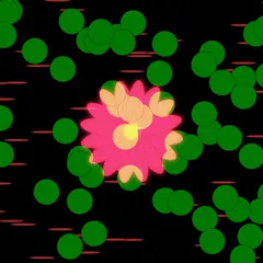 flower demo 0328