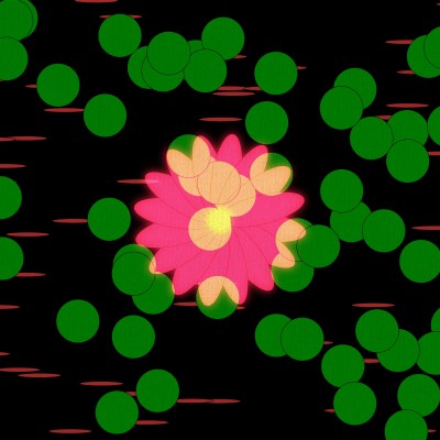 flower demo 0328