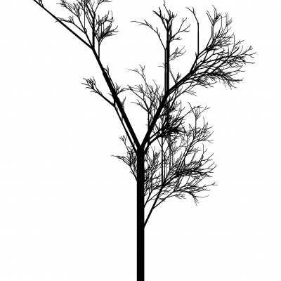 L System Experiment