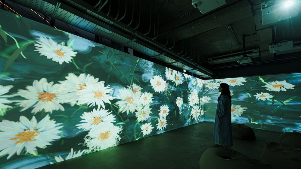 未竟之花 — 展場紀錄 14