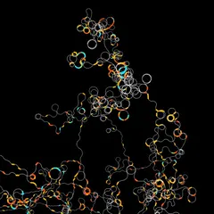 230513 Chromosome 3D