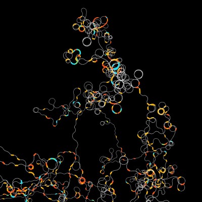 230513 Chromosome 3D