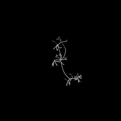 test1