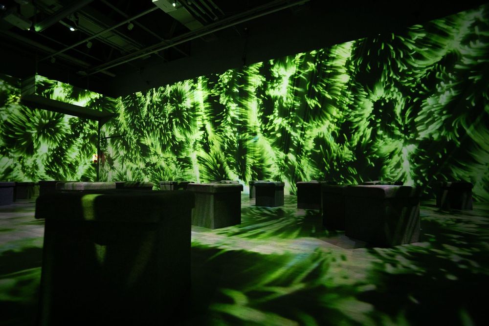 Algorithmic Poetry: The Boundary of Dreams and Solitude — exhibition view 4