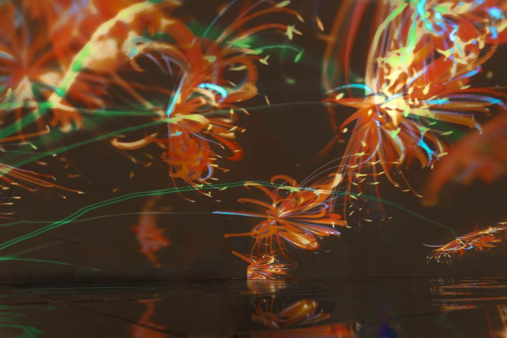 dialog( ) Asian Generative Art — exhibition view 8