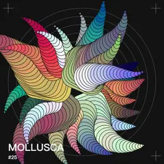 210928 Mollusca Crayon