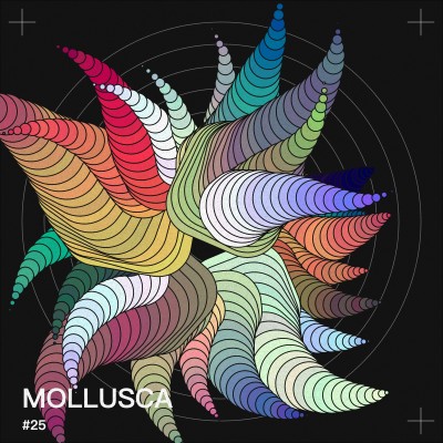 210928 Mollusca Crayon