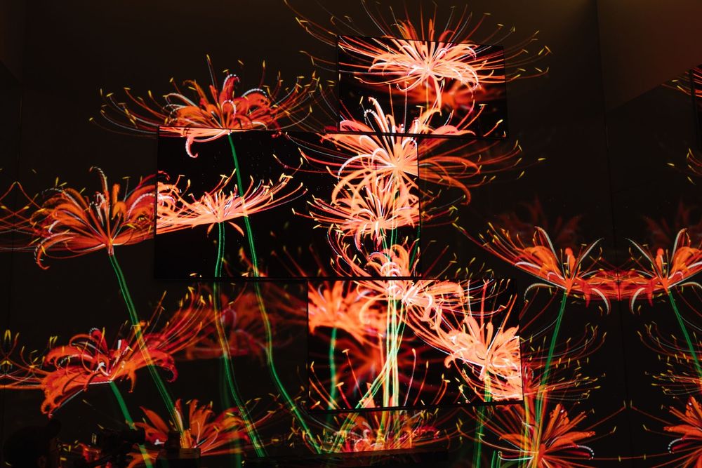 LG Eternal Floral Realm — exhibition view 10