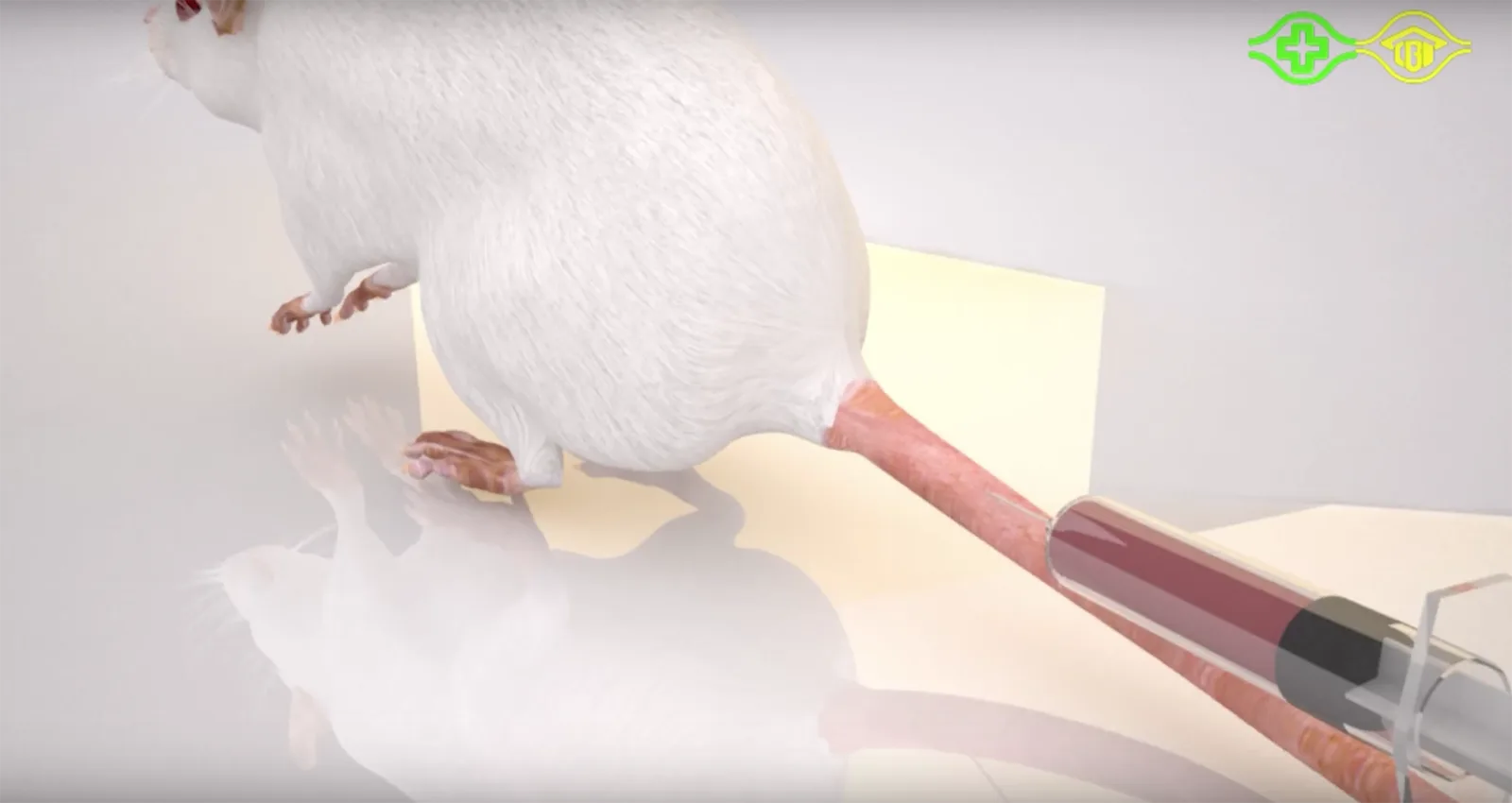 Chang Gung Memorial Hospital 3D Animation of Graphene-based Cancer Treatment