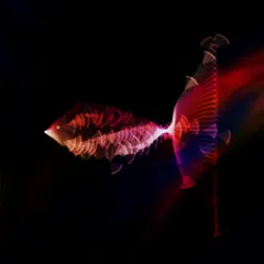 220331 Soul Fish v4