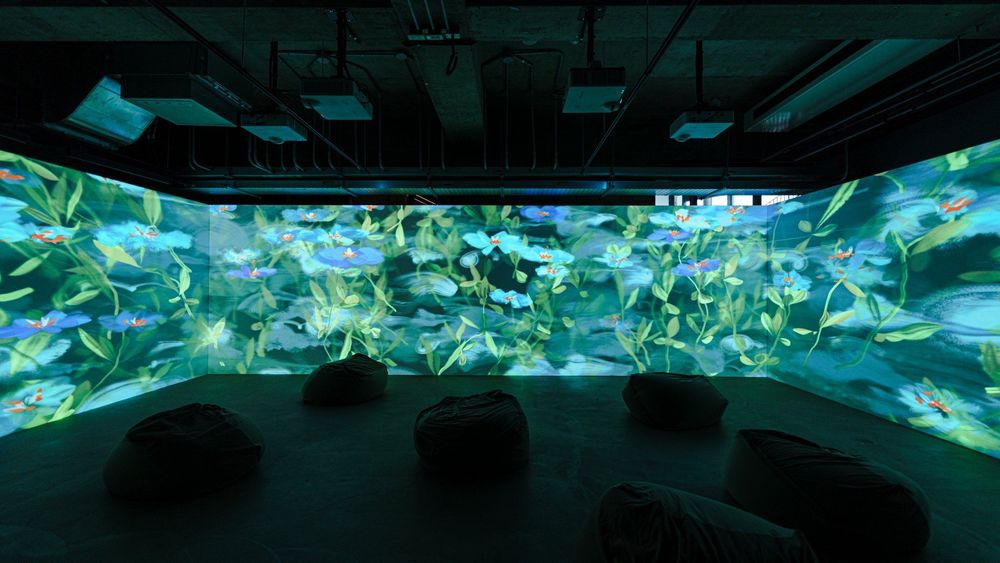 未竟之花 — 展場紀錄 1