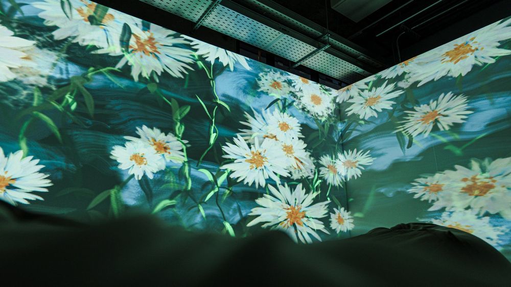 未竟之花 — 展場紀錄 5