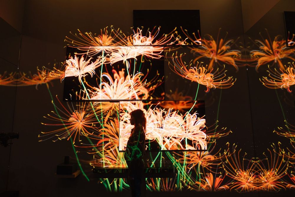 LG Eternal Floral Realm — exhibition view 1