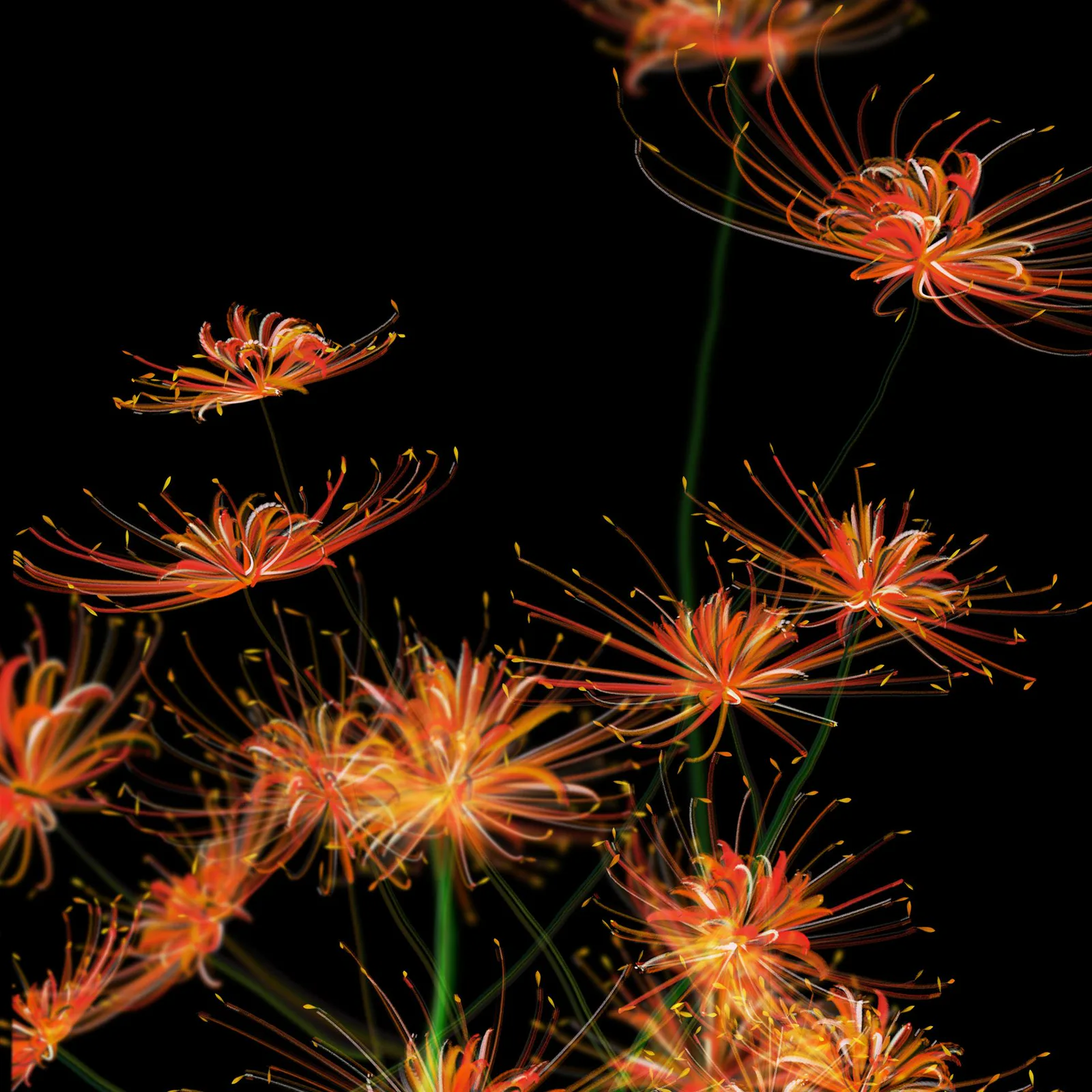 The Flower of the Other Shore — work documentation