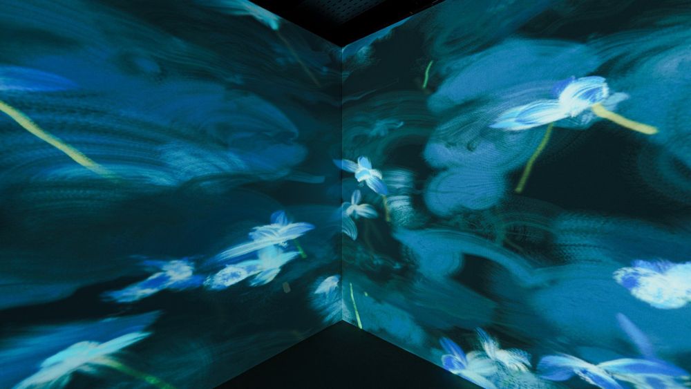 未竟之花 — 展場紀錄 9