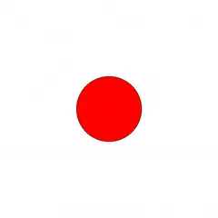 Fruit Ninja Test