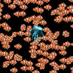 img use jelly fish