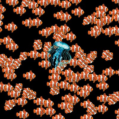 img use jelly fish
