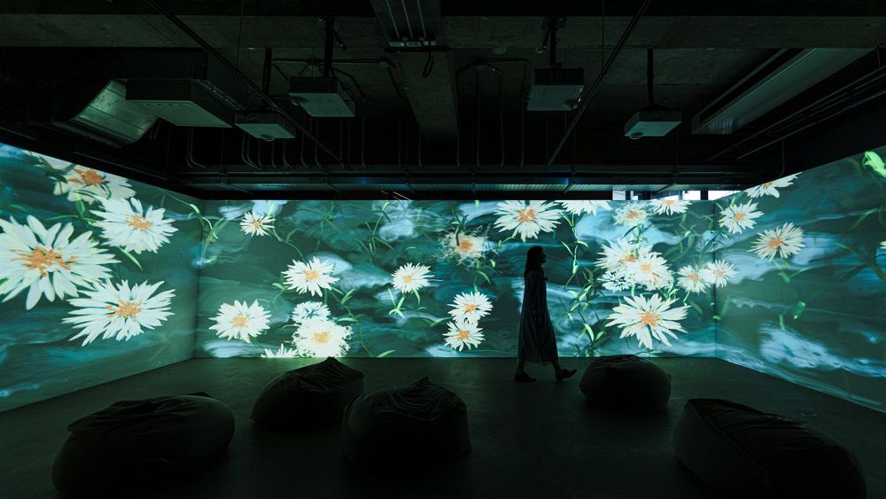 未竟之花