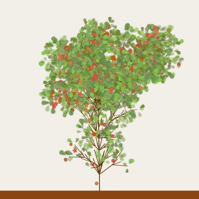 250223 L-system dynamic tree