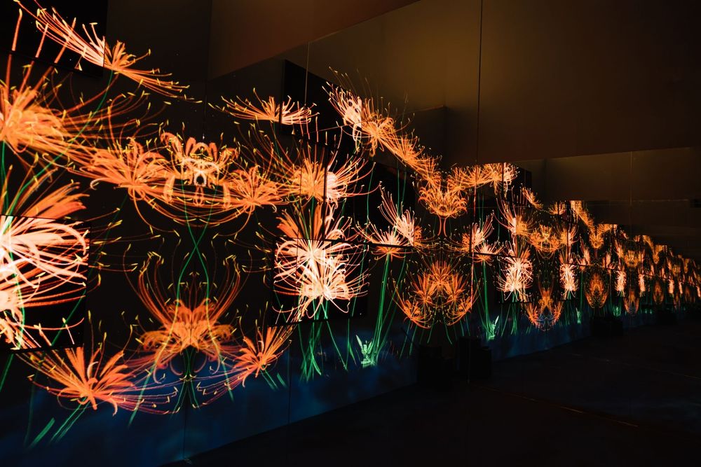 LG Eternal Floral Realm — exhibition view 12