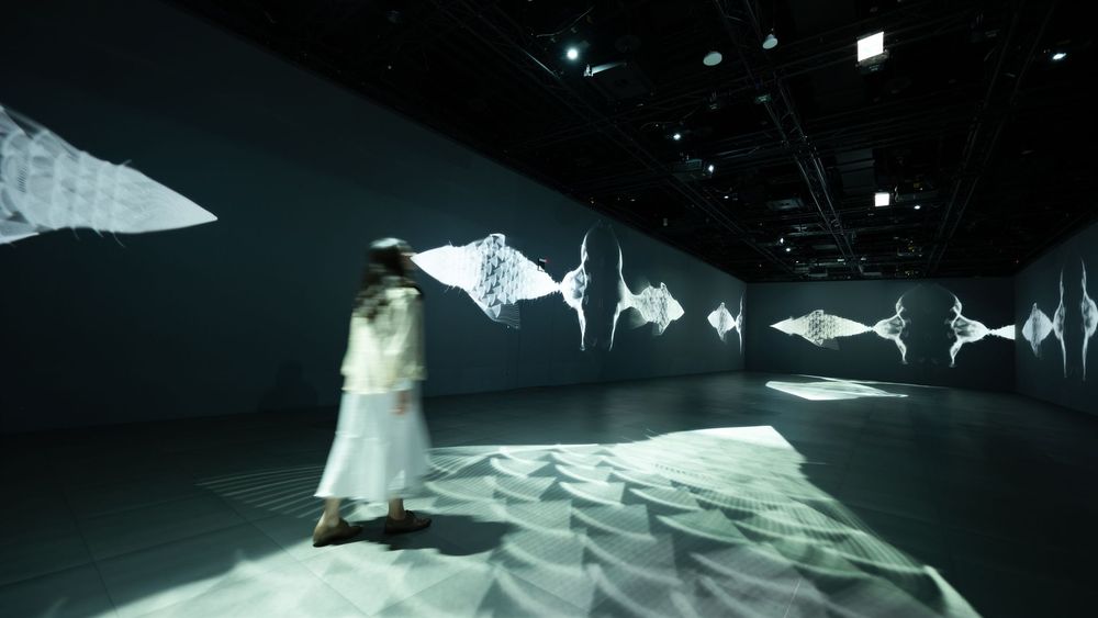 Chaos Lab — exhibition view 18