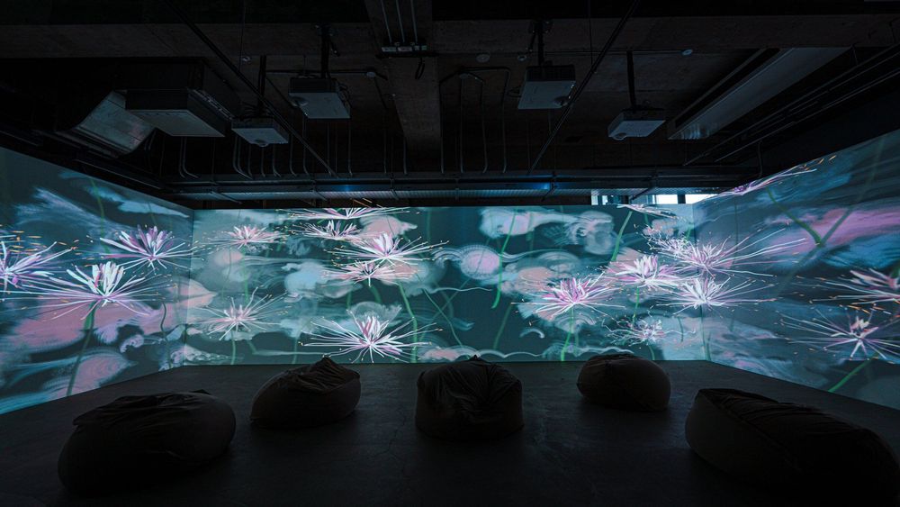 未竟之花 — 展場紀錄 15