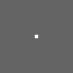 test rect