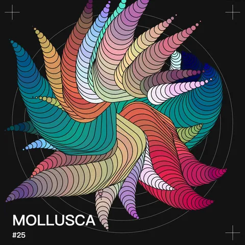 210928 Mollusca